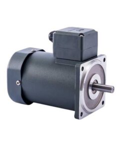 Động cơ điện 80YS-25W-DY38 25W 3 Pha